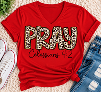PRAY Colossians 4:2 leopard print Christian graphic shirt available in short sleeve crewneck, V-neck, long sleeve and hoodie styles.